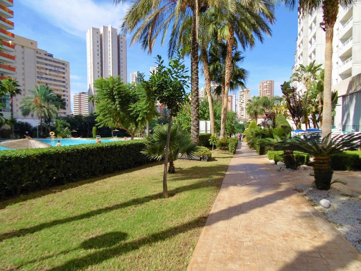 Gemelos 22-3-1C Apartment Benidorm Ngoại thất bức ảnh